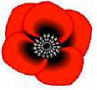 Remembrance Poppy