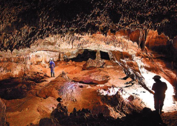 The oldest human DNA has been decoded