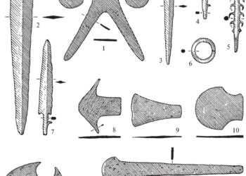 The Indo-Aryan economy according to Vedic sources