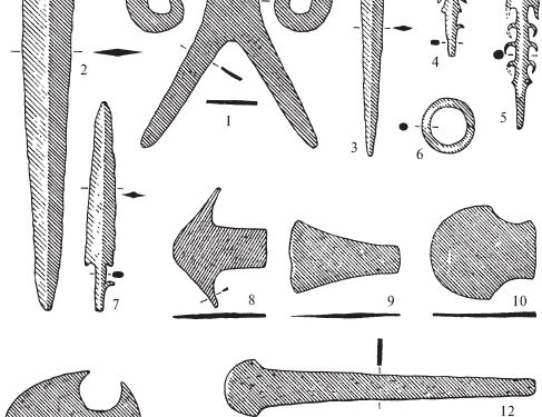 The Indo-Aryan economy according to Vedic sources